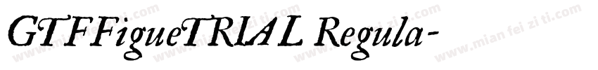 GTFFigueTRIAL Regula字体转换